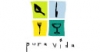 Pura Vida Tapas & Bar